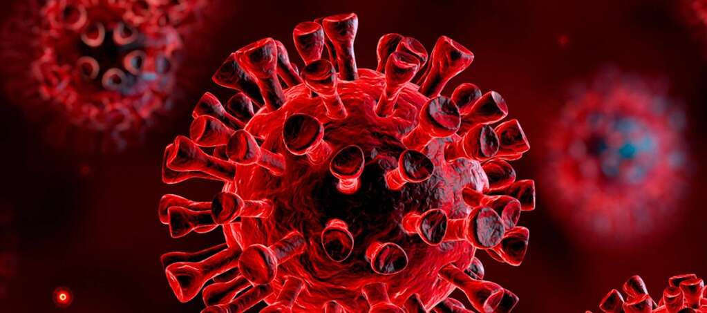 Is it true that coronavirus can stick to hair or beard? Covid-19 SIMONE TRICHOLOGY