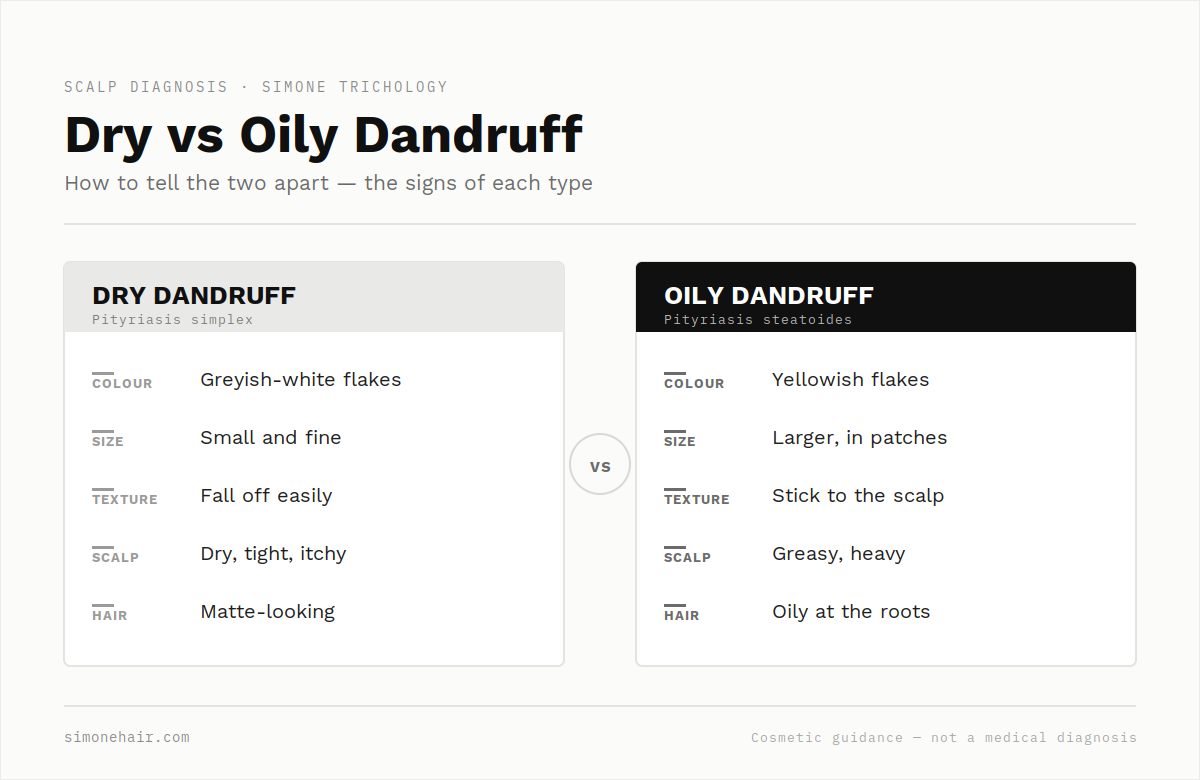 dry vs oily dandruff