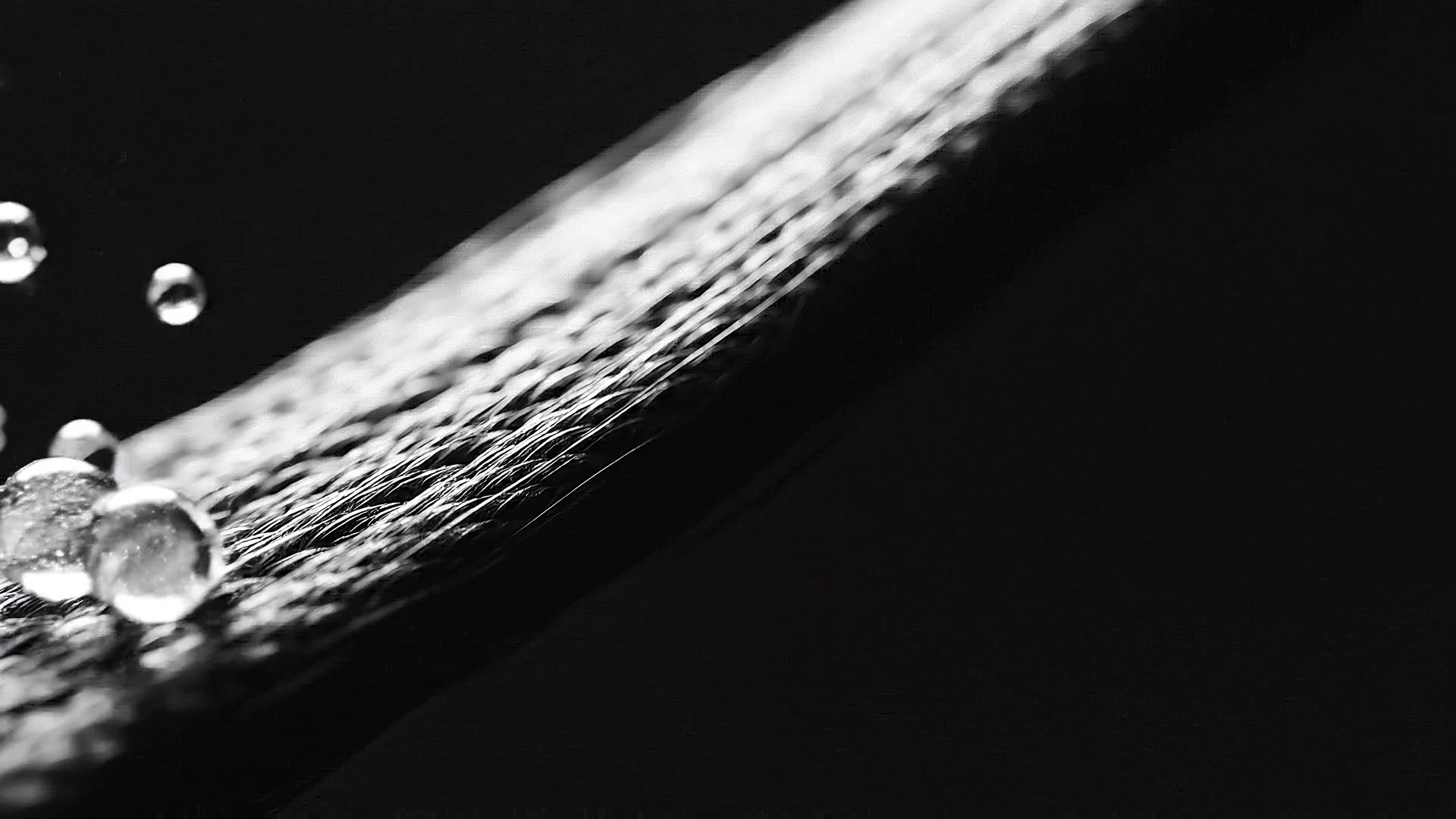 Biomimetic exosomes settling on hair under microscope — TFD technology by SIMONE TRICHOLOGY