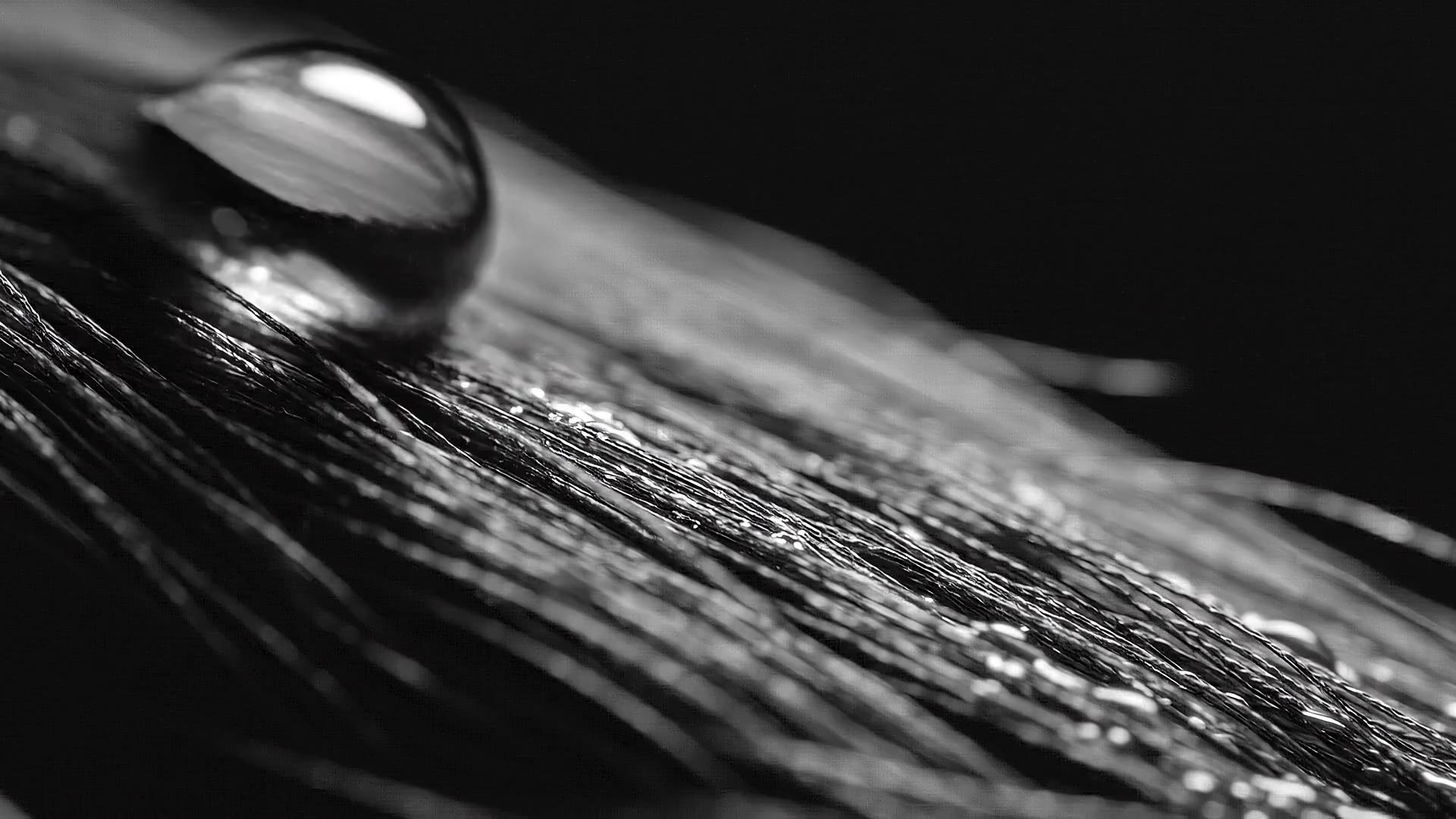 Close-up of hair fibre with serum droplet — clinical hair loss and scalp treatment by SIMONE TRICHOLOGY