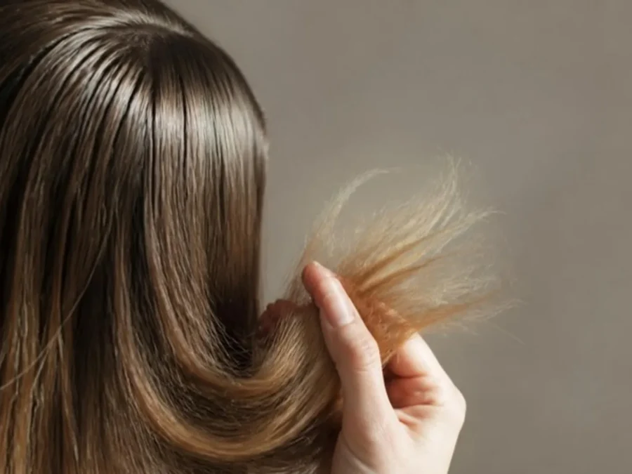 Greasy roots and dry ends on the same hair strand: glossy, oily roots at the parting and frizzy, split ends lifted by hand — SIMONE TRICHOLOGY